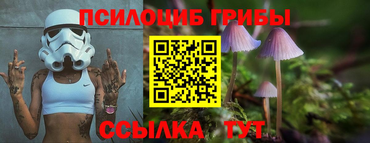 Псилоцибиновые грибы Psilocybe  Галлюциногенные грибы Cubensis  купить закладку  Ставрополь  Вход с VPN 